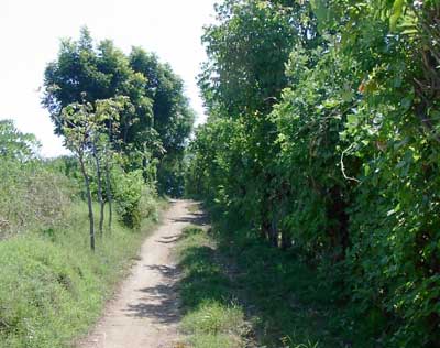Access Road to Land