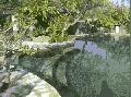 Pool. Palimanan stone